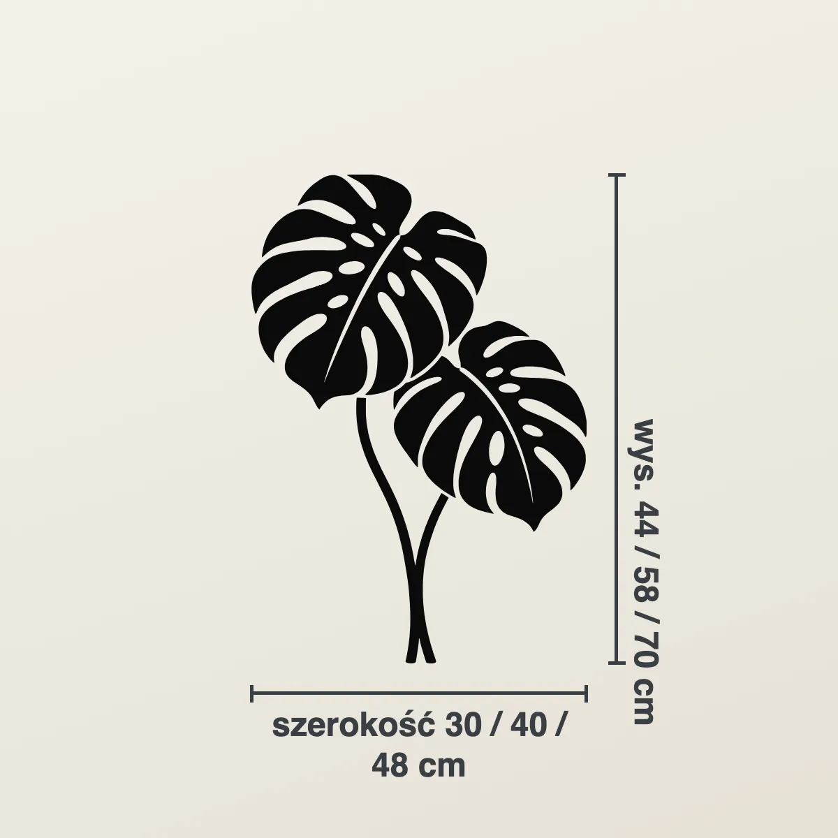 Grafika na ścianę — Liście monstery XXL