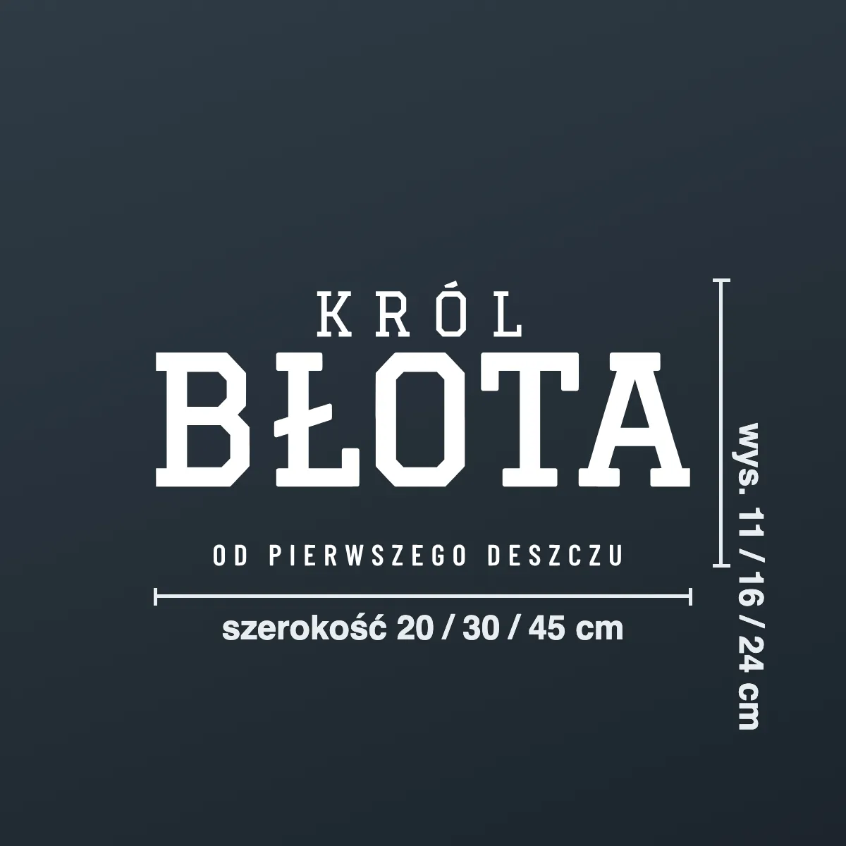 Naklejka offroad „Król błota od pierwszego deszczu”