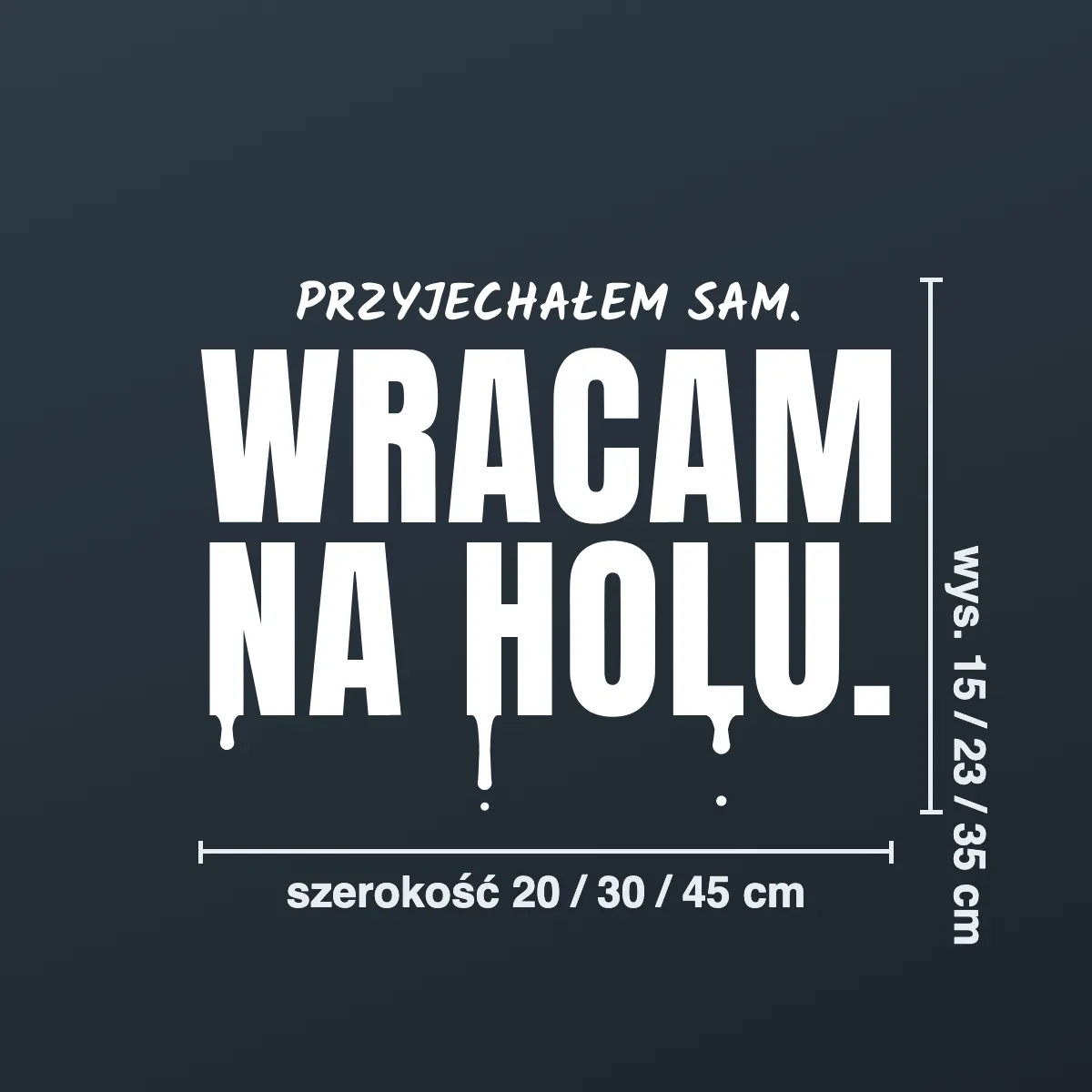 Naklejka offroad „Przyjechałem sam. Wracam na holu.”